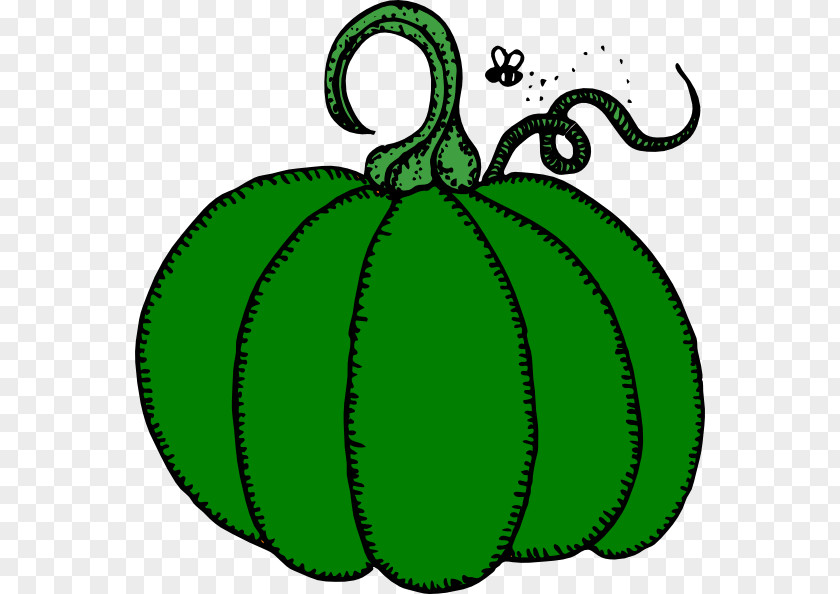 Green Pumpkin Seeds Halloween Pumpkins Bread Clip Art Giant PNG