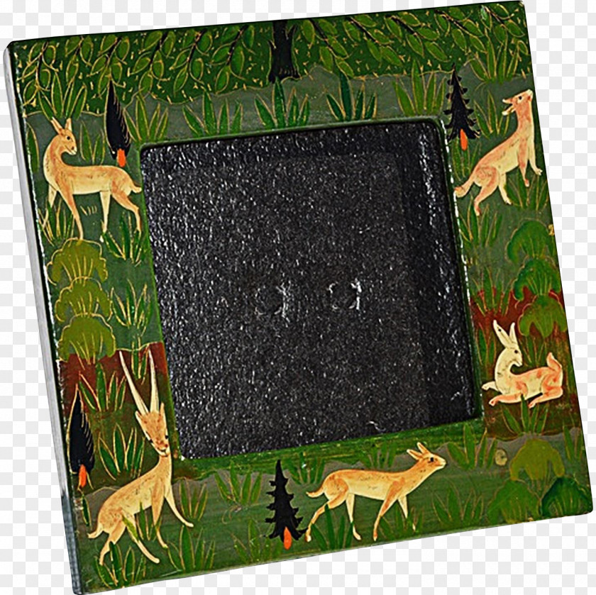 Hand-painted Illustration Picture Frames Fauna Rectangle PNG