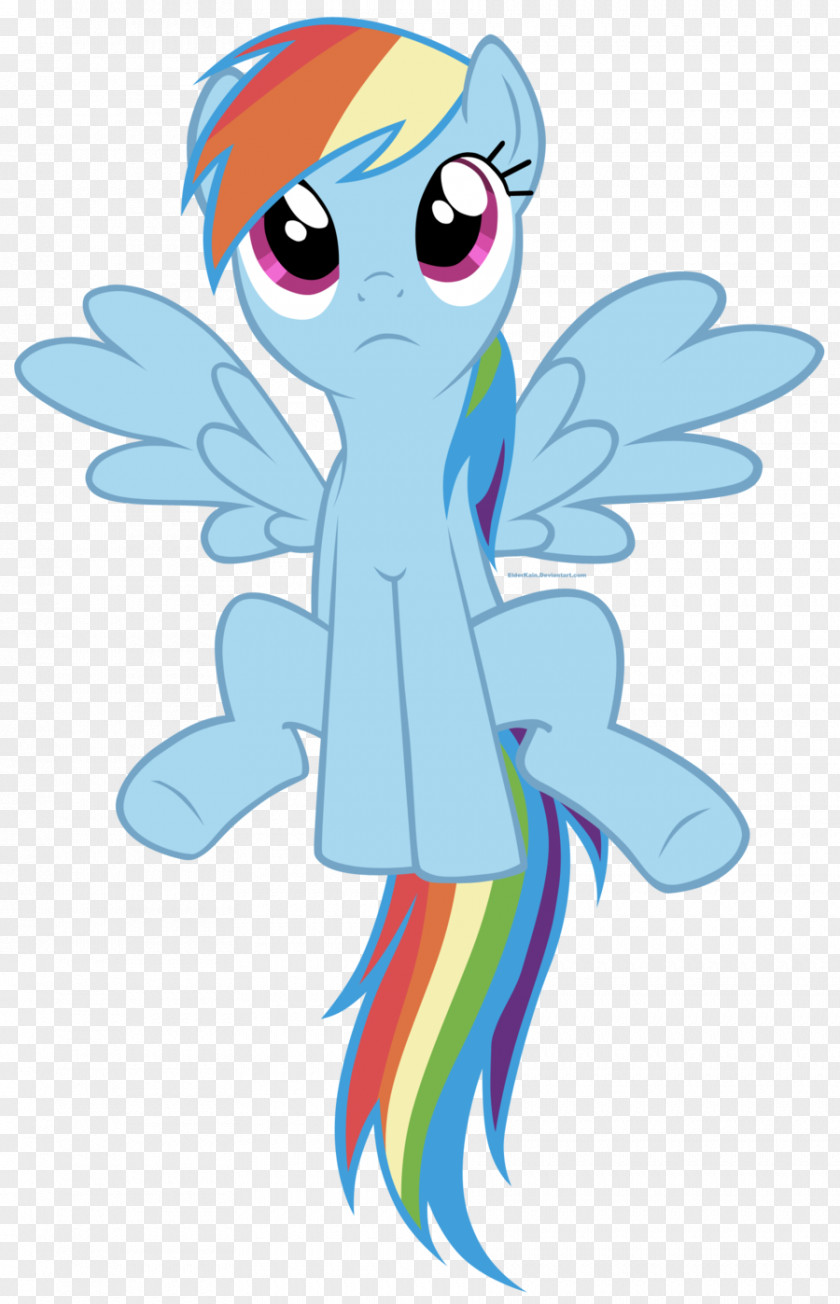 My Little Pony Rainbow Dash Pinkie Pie Derpy Hooves Rarity PNG