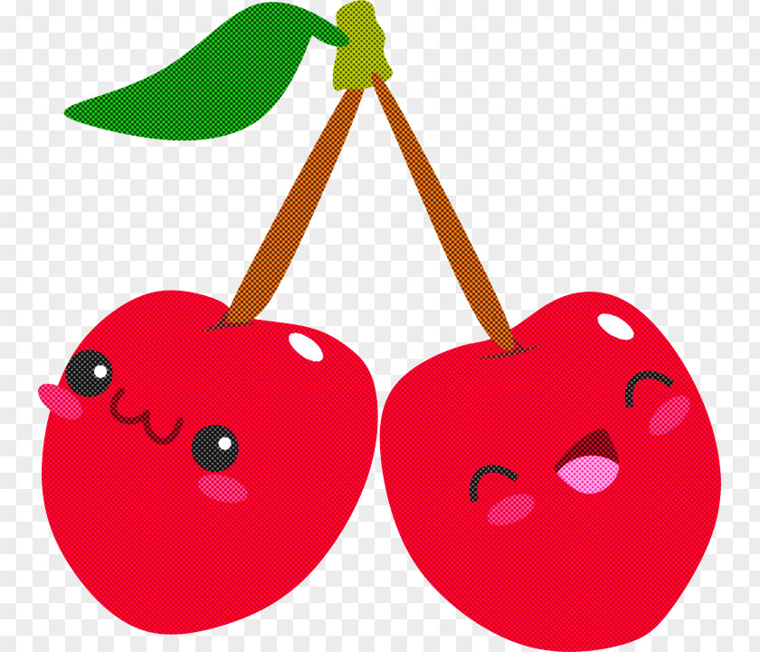 Red Cherry Heart Plant Fruit PNG