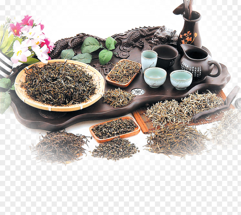 Tea Cup Of Chinese Herbology Crude Drug Poster PNG