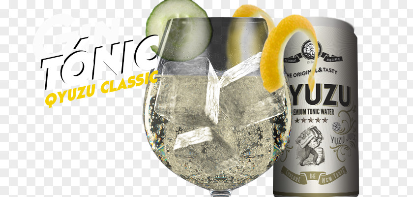 Tonic Water Gin And Drink Mixer Dictionary Liqueur PNG