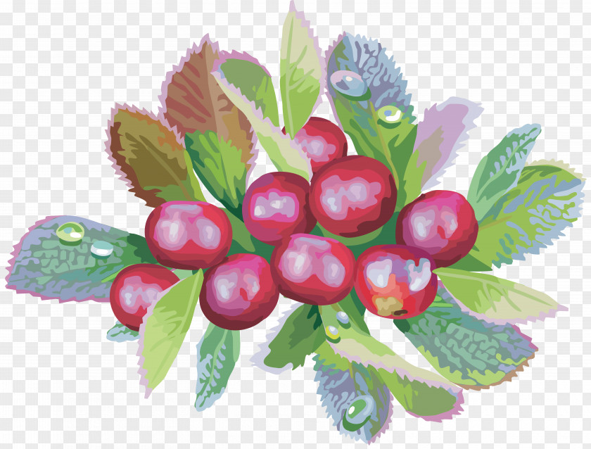 Dates Bilberry Food Cranberry PNG