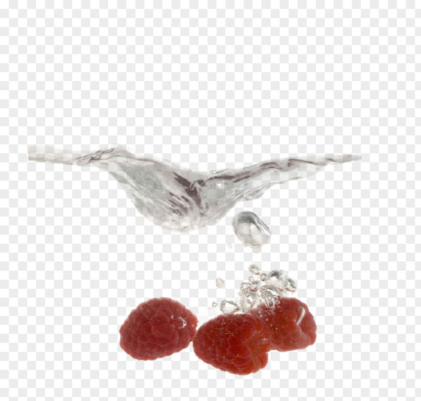 Dates Raspberry Stock Photography Getty Images PNG