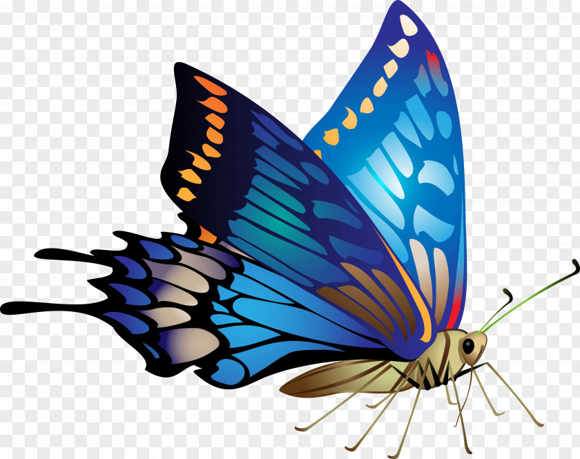 Fly Butterfly Flower Clip Art PNG