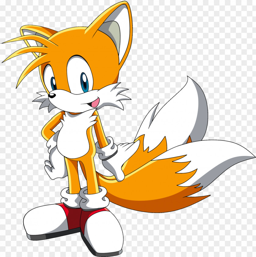 Fox Tails Sonic The Hedgehog Chaos Shadow Knuckles Echidna PNG