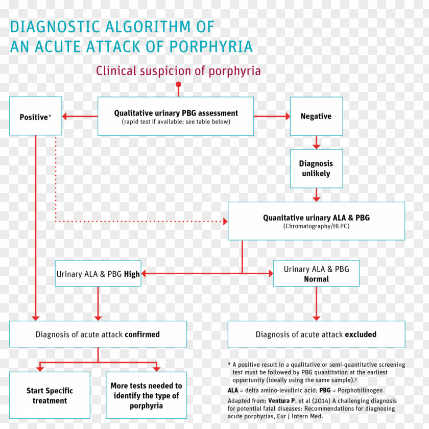 Line Organization Document PNG