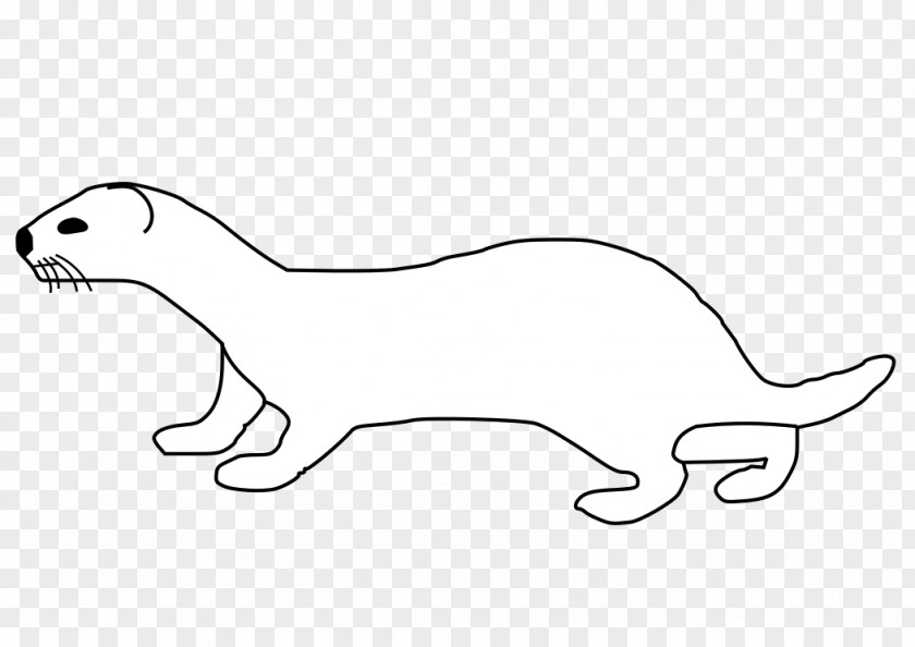 Mink Clipart Whiskers Ferret Dog Drawing Clip Art PNG