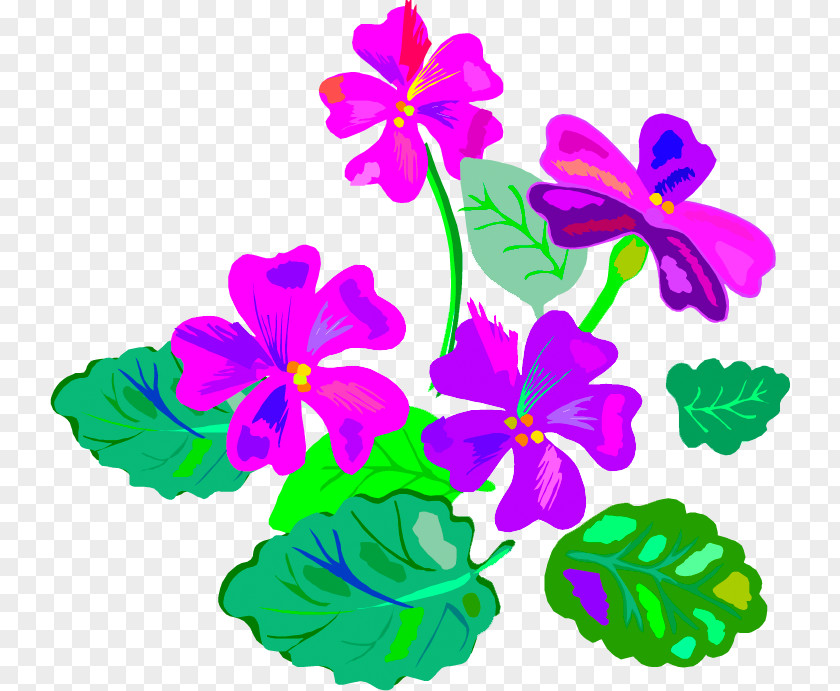 Nyu Violets Violet Annual Plant Clip Art PNG