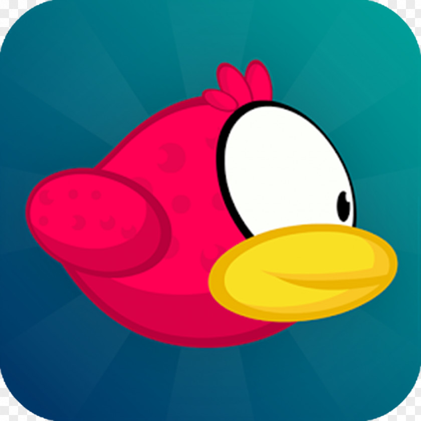 Appy Duck Angry Birds Epic Flappy My Bird App Store PNG