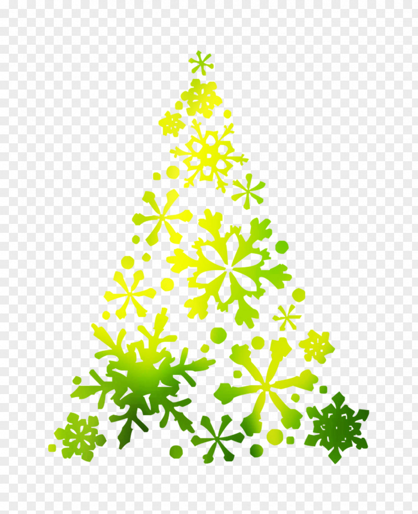 Christmas Tree Spruce Fir Ornament PNG