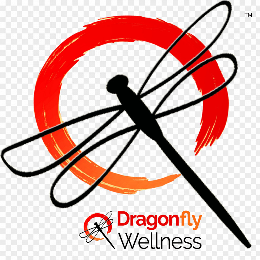 Dragon Fly Dragonfly Wellness Broward House Relaxation Technique Clinic Pain PNG