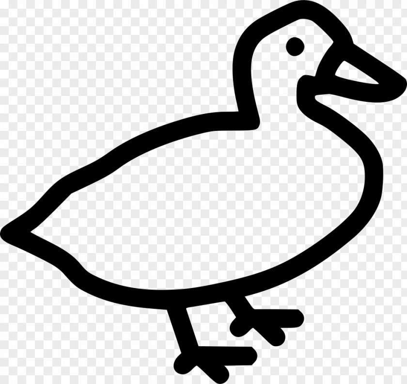 Goose Duck Clip Art PNG