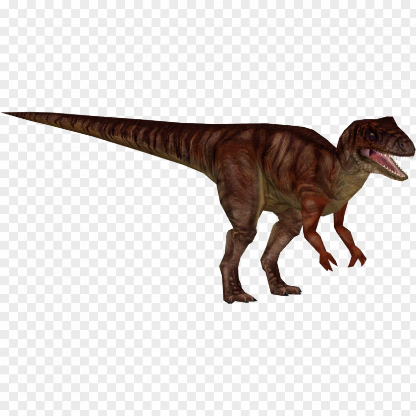 Jurassic Park Park: Operation Genesis Allosaurus Zoo Tycoon 2 Velociraptor Tyrannosaurus PNG