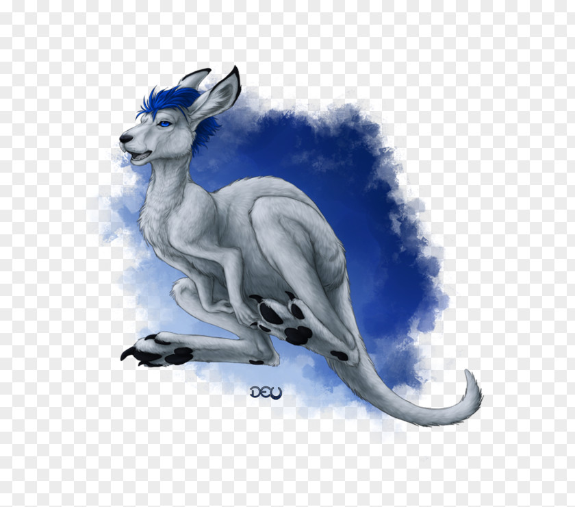 Kangaroo DeviantArt Artist Drawing PNG