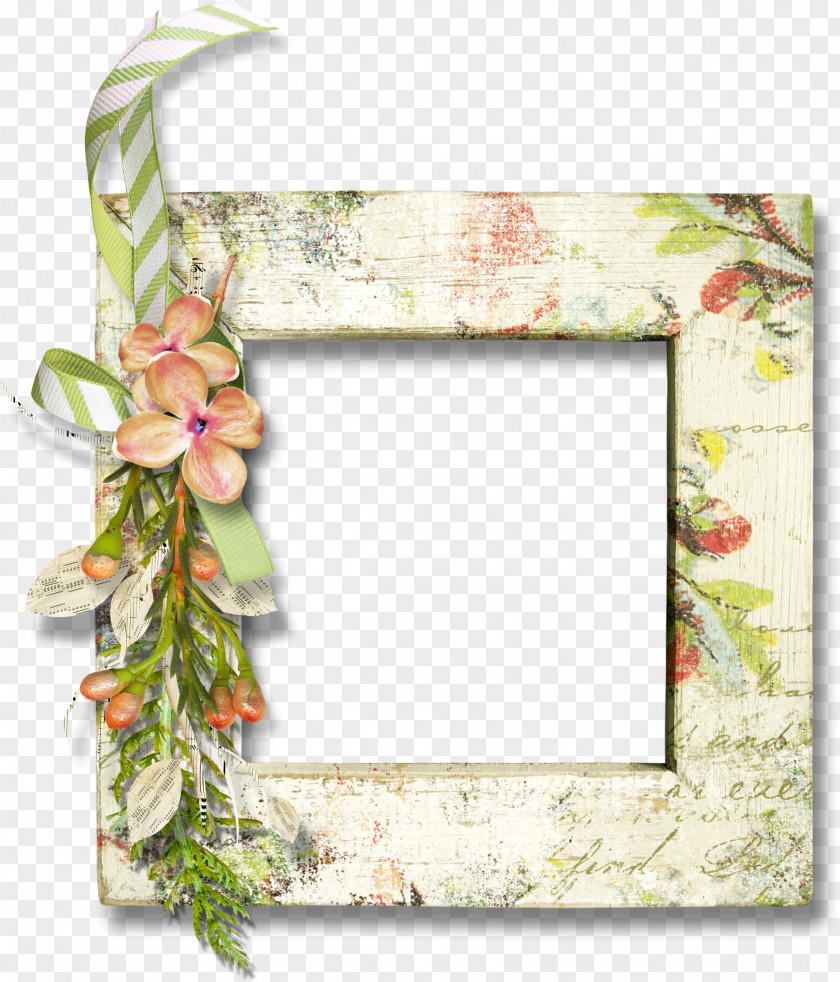 Kaya Scodelario Flower Floral Design Picture Frames DepositFiles Petal PNG