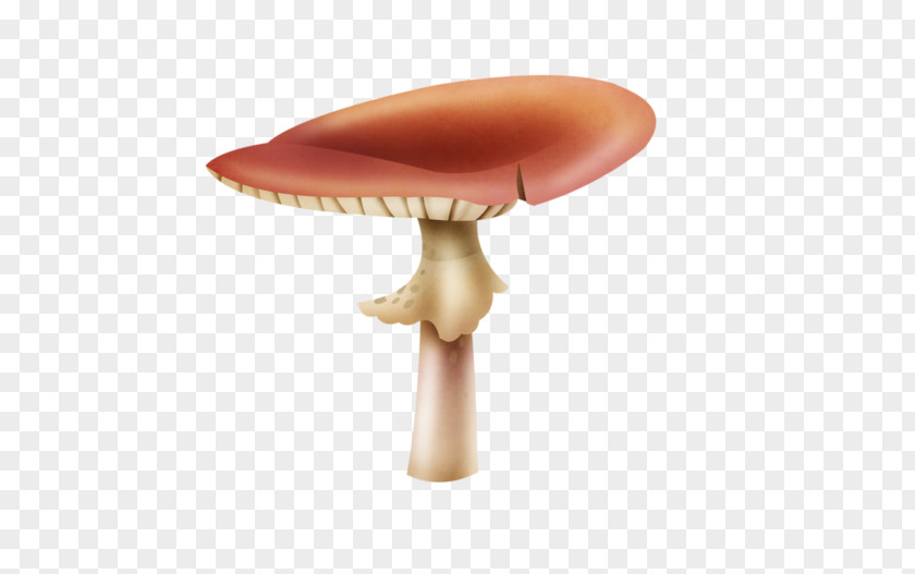 Mushroom Shiitake PNG