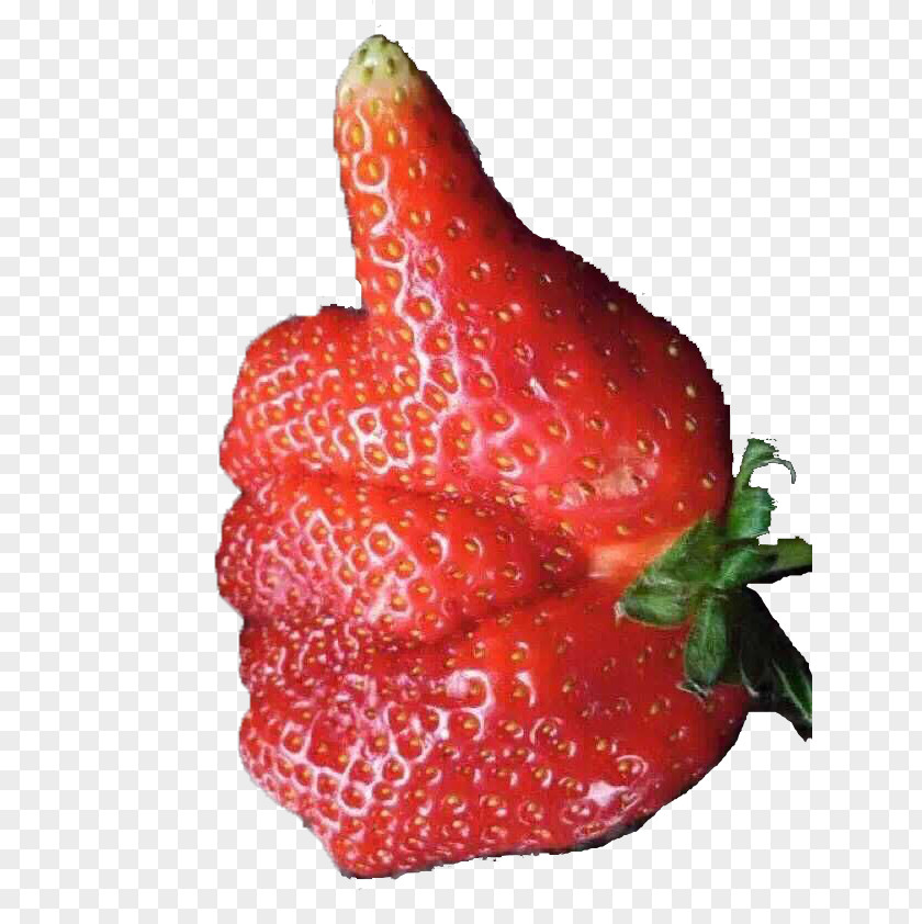 Strawberry Finger Fruit Vegetable Cookie PNG