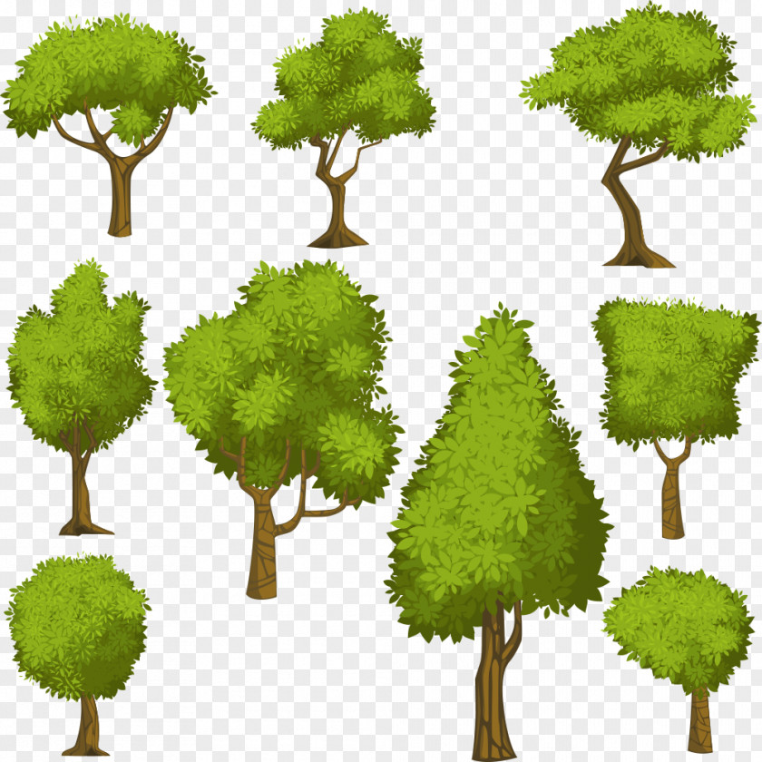 Vector Cartoon Green Tree Euclidean Shrub Illustration PNG