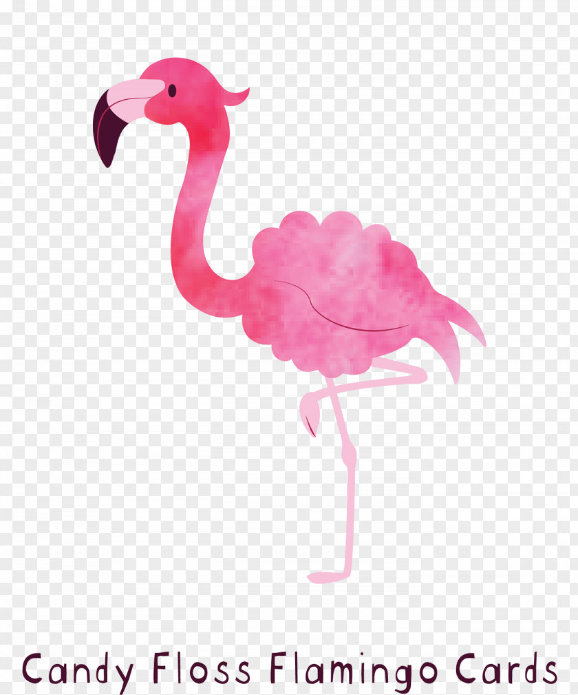 Beak Water Bird Pink Flamingo PNG
