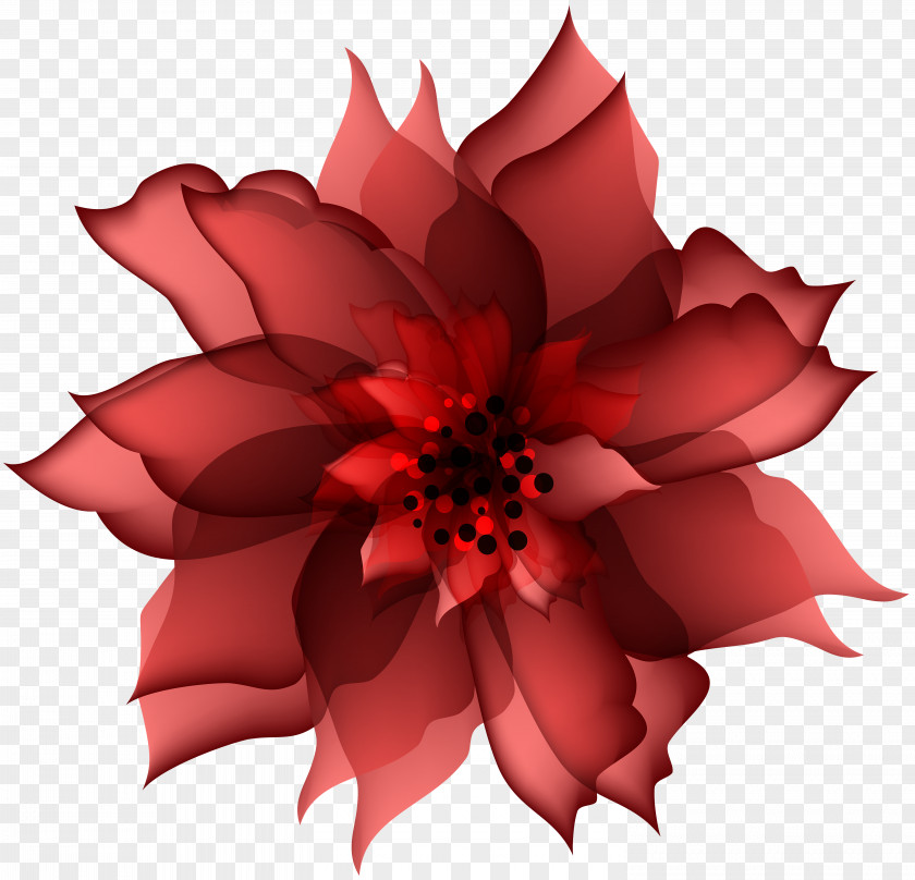 Decorative Flower Red Transparent Clip Art PNG