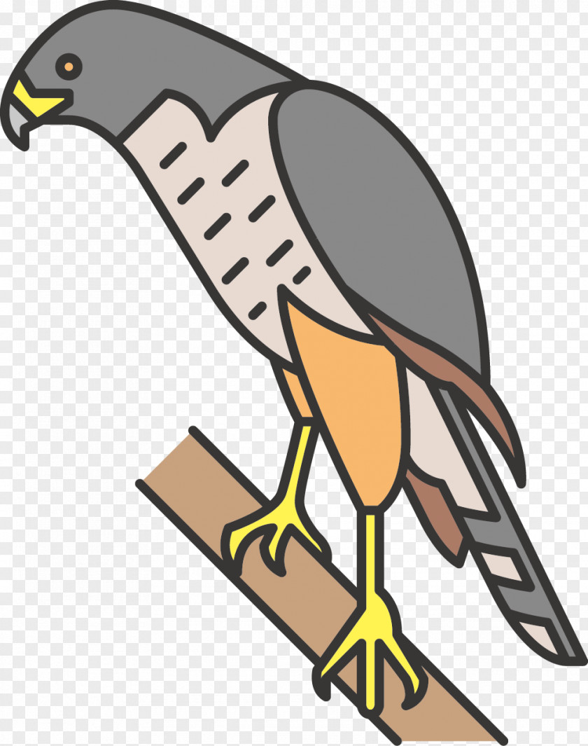 Eagle Beak Bird Of Prey Clip Art PNG