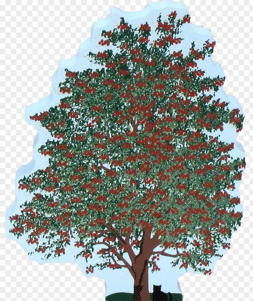 Hawthorn Tree Shrub Branch Woody Plant PNG