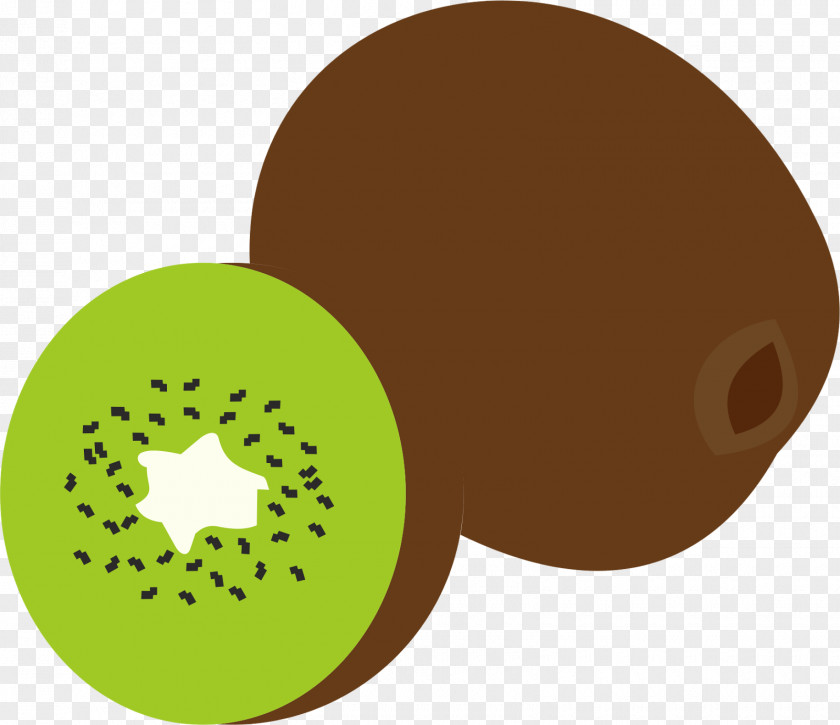 Kiwi Fruit Kiwifruit Green Clip Art PNG