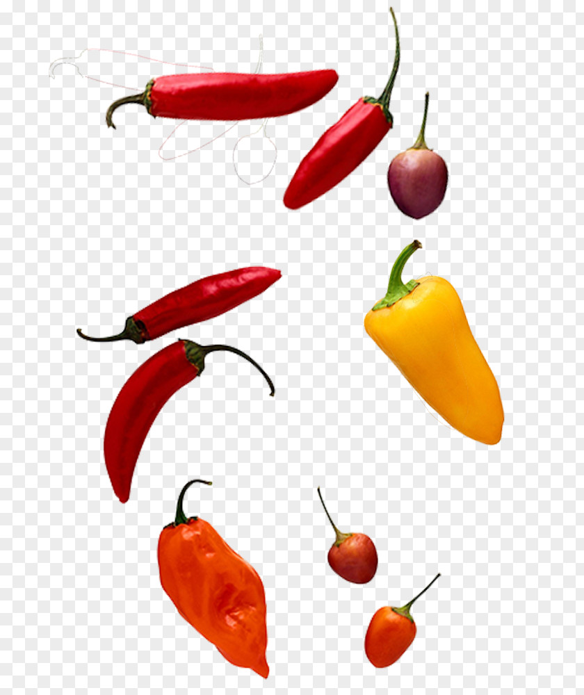 Sichuan Pepper Variety Of Chilli Peppers Chili Computer File PNG