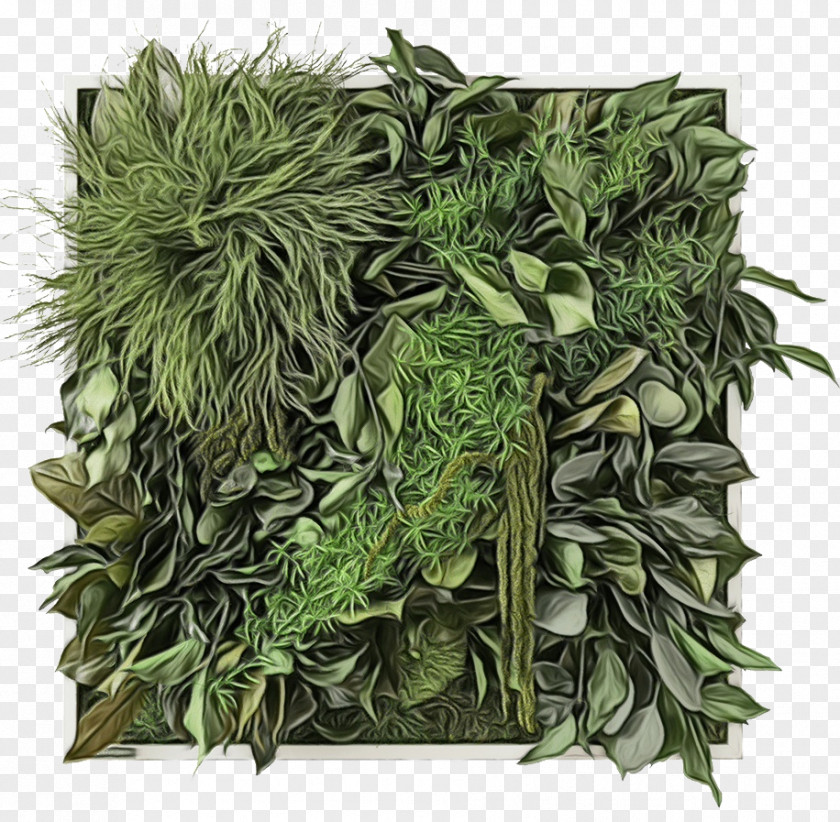 Longjing Tea Vegetarian Cuisine Herb Tree PNG