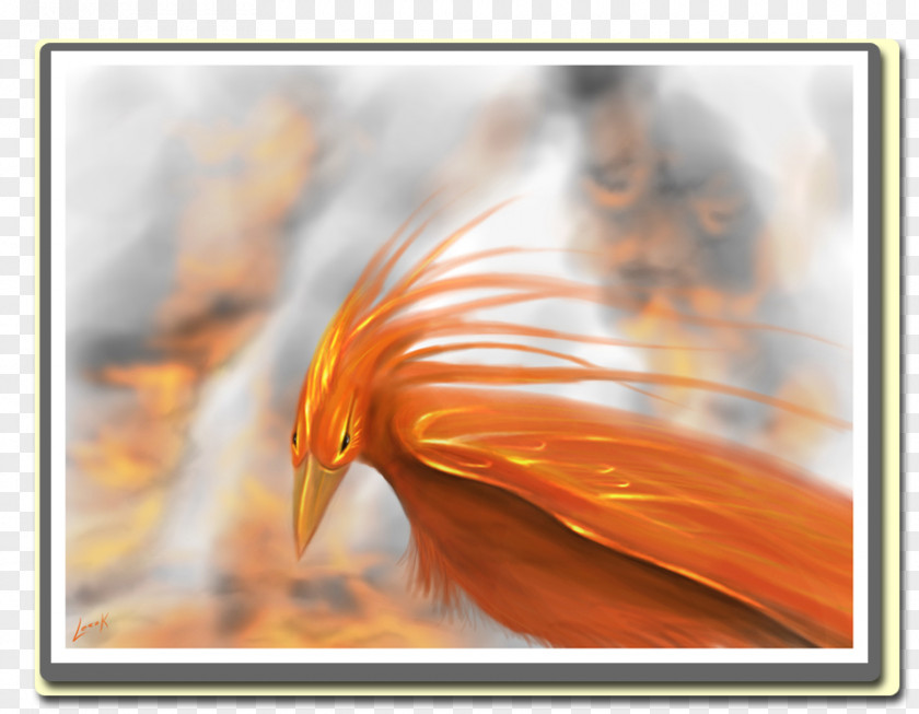 Phoenix Firebird Mitologia Eslava Mythology Espírito Santo PNG