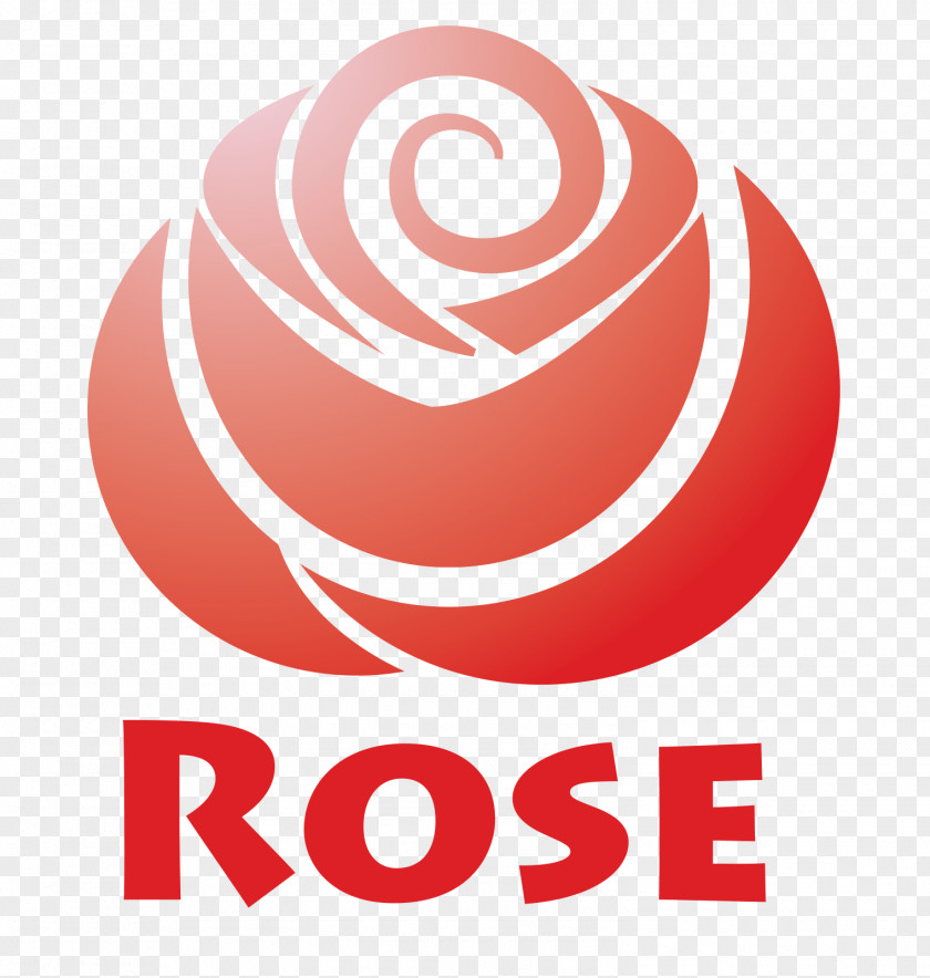 Rose Material Flower Floral Design PNG