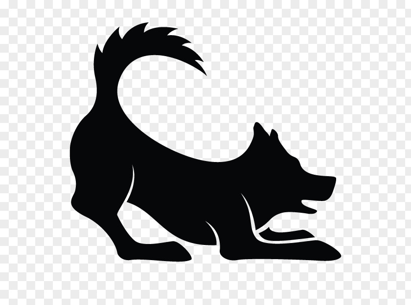 Blackandwhite Wildlife Dog And Cat PNG
