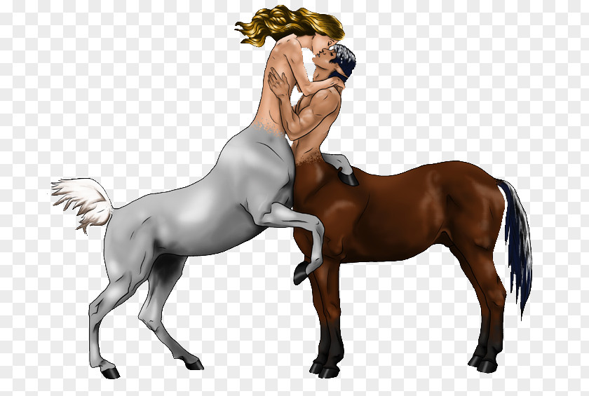 Centaur Horse Drawing Foal PNG