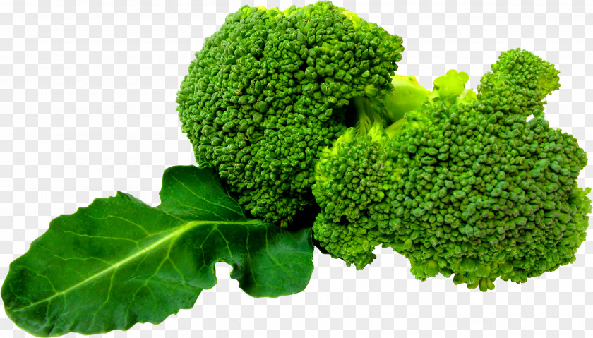 Green Broccoli Image Slaw Vegetable PNG