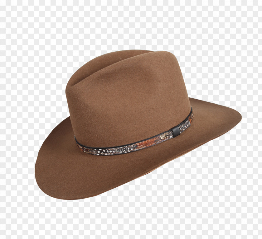 Pheasant Feathers Cowboy Hat Magill Manufacturing Inc. Fedora Pork Pie PNG