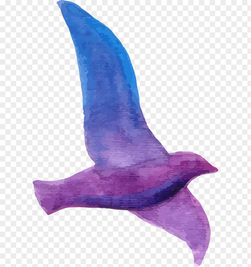 Purple Pigeon Adobe Illustrator Euclidean Vector PNG