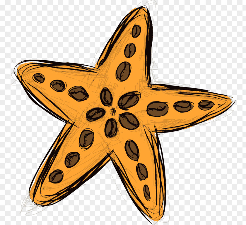 Starfish Symbol PNG