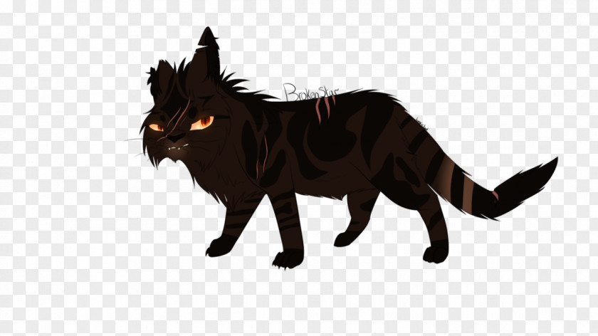 Cat Into The Wild Brokenstar Black Fire And Ice PNG