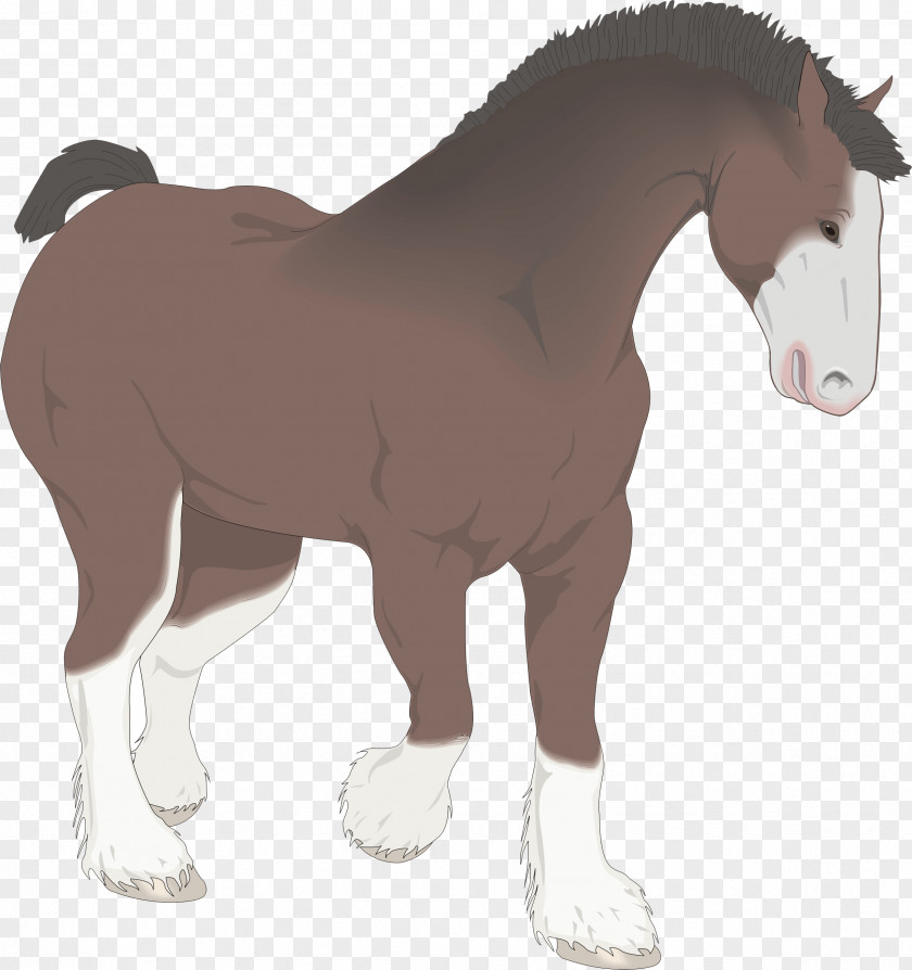 Clydesdale Horse Mare Foal Drawing Clip Art PNG