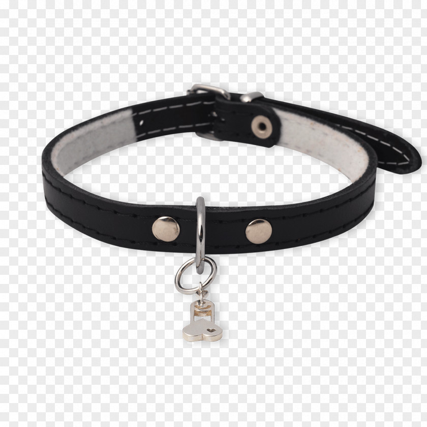 Dog With Collar Bracelet Necklace PNG