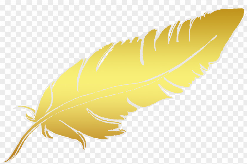 Feather Invertebrate Font PNG