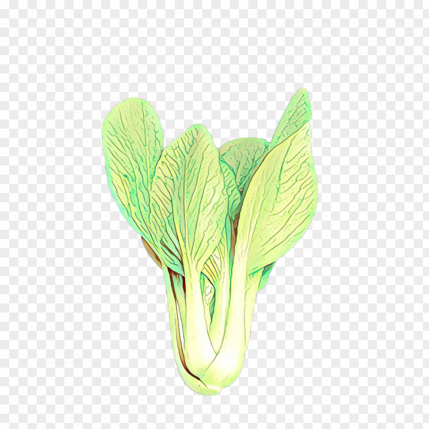 Green Leaf Plant Vegetable Flower PNG