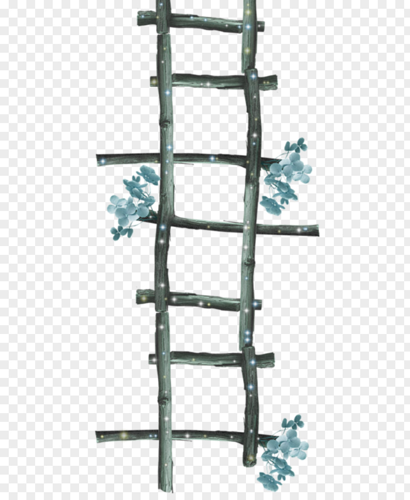 Ladders PNG