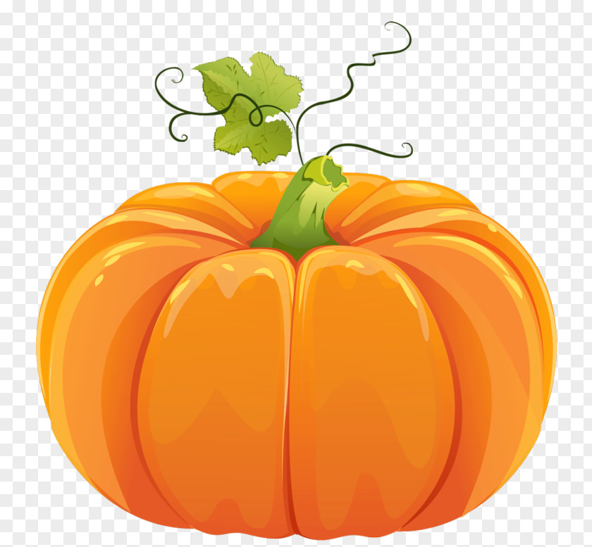 Pumpkin Field Clip Art Vegetarian Cuisine Jack-o'-lantern PNG