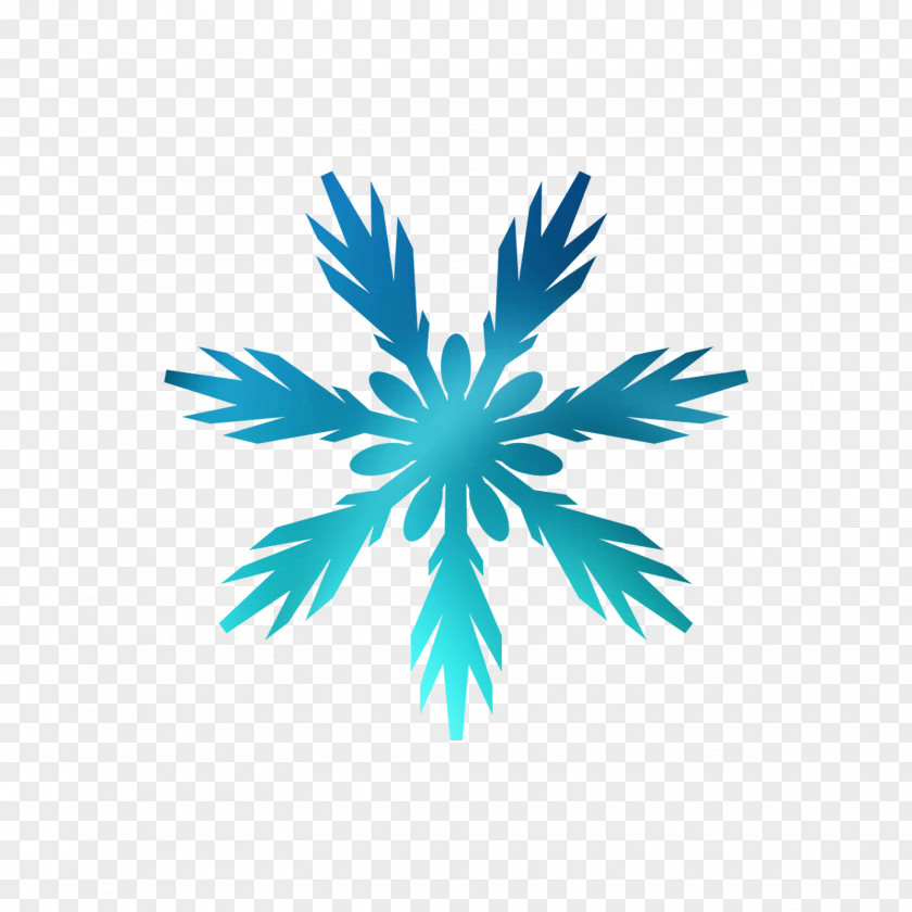 Snowflake Vector Graphics Royalty-free Image Illustration PNG