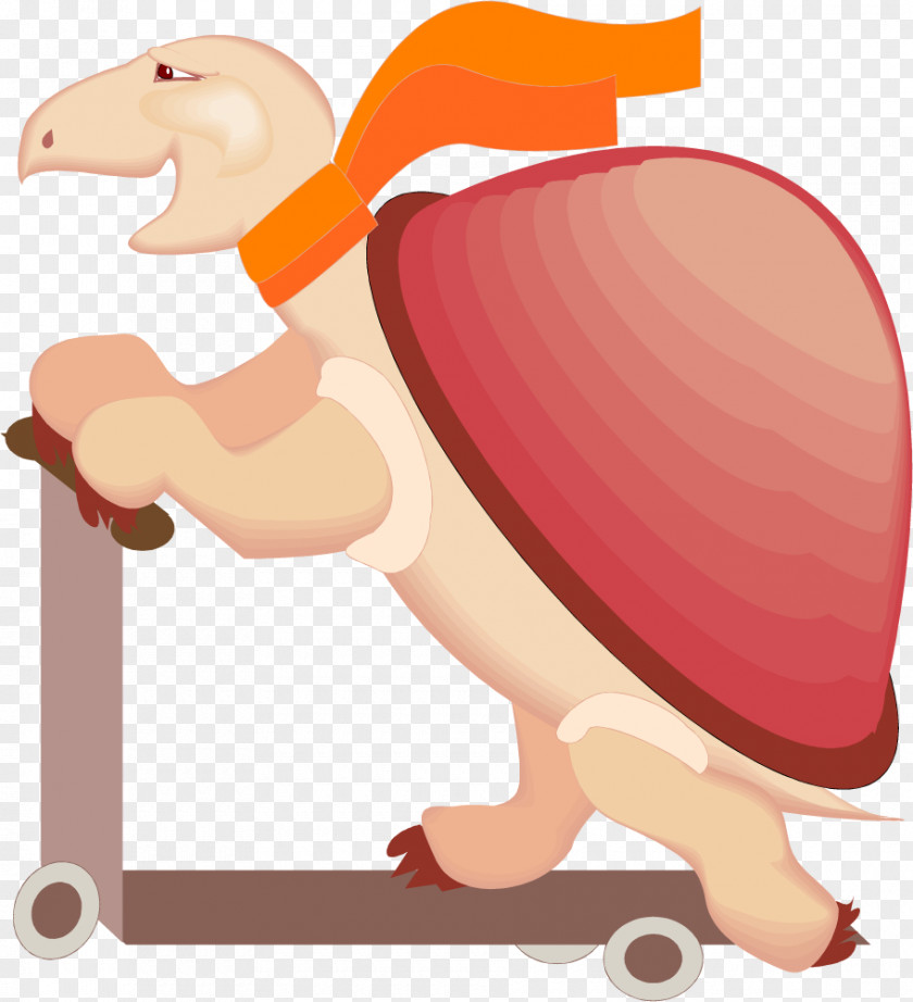 The Tortoise Plays With Scooter Turtle Cartoon Clip Art PNG