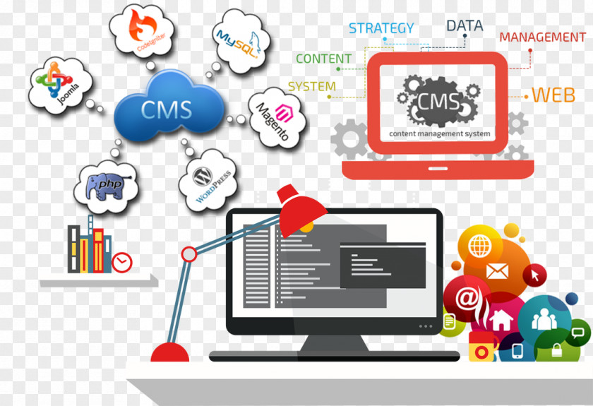 Web Development Content Management System Software PNG