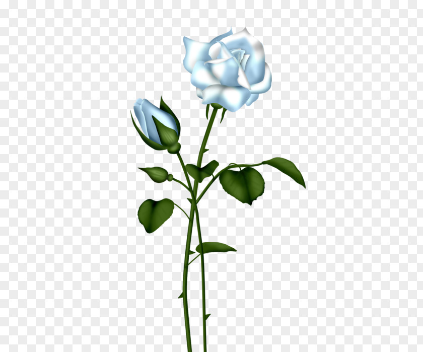 Blue Rose Cliparts Clip Art PNG