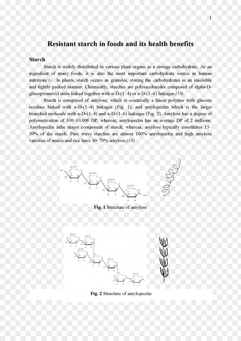 Design Document White Pattern PNG